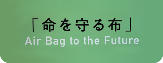 Air 'BAG' to the Future